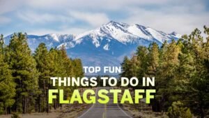 Fun Things to Do in Flagstaff